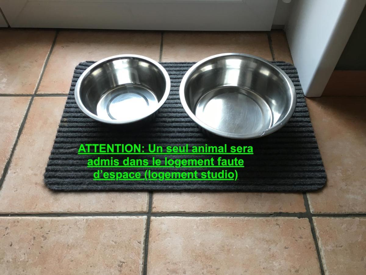 Studio "Pause A La Naturelle" Wimereux- Cote D'Opale Eksteriør bilde